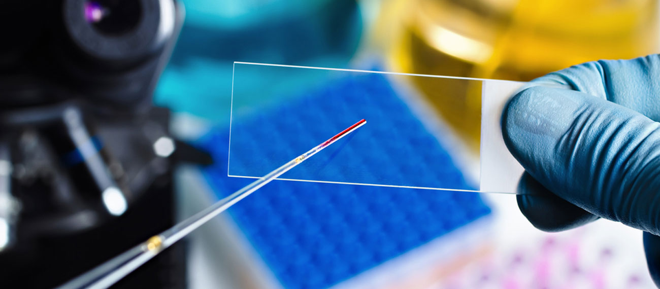 #teasercaption1 Smooth Drug Development